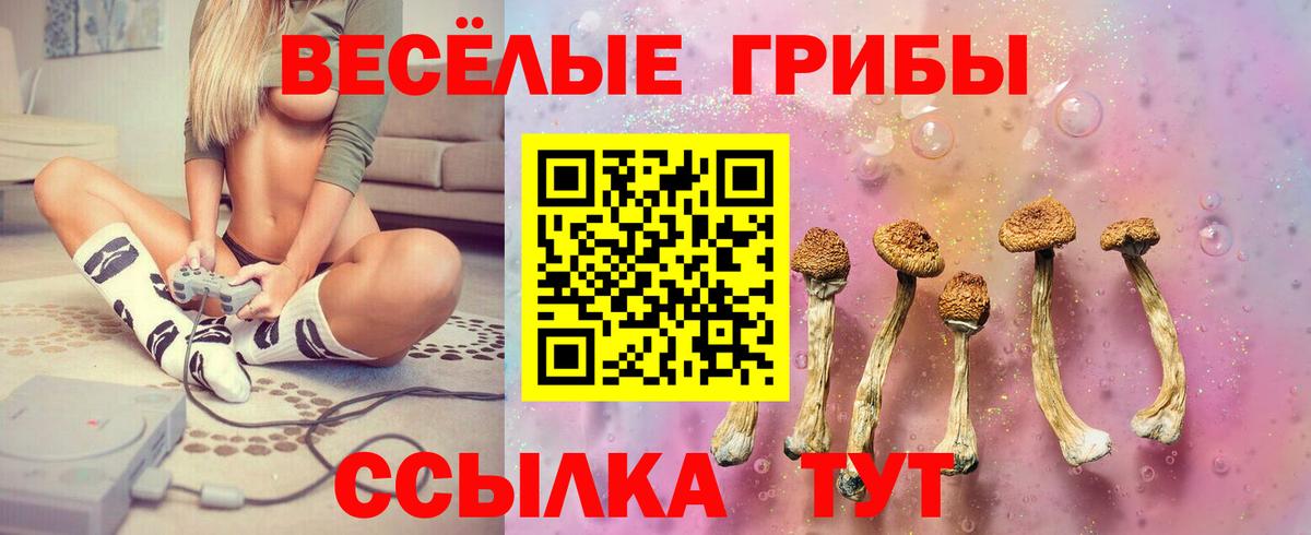 Галлюциногенные грибы мицелий Боровичи